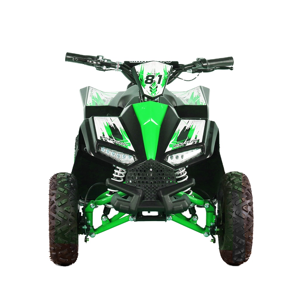 Kids Electric ATV Quad 1000W 4 - Kids Outdoor Electric Quad recensione e prezzo