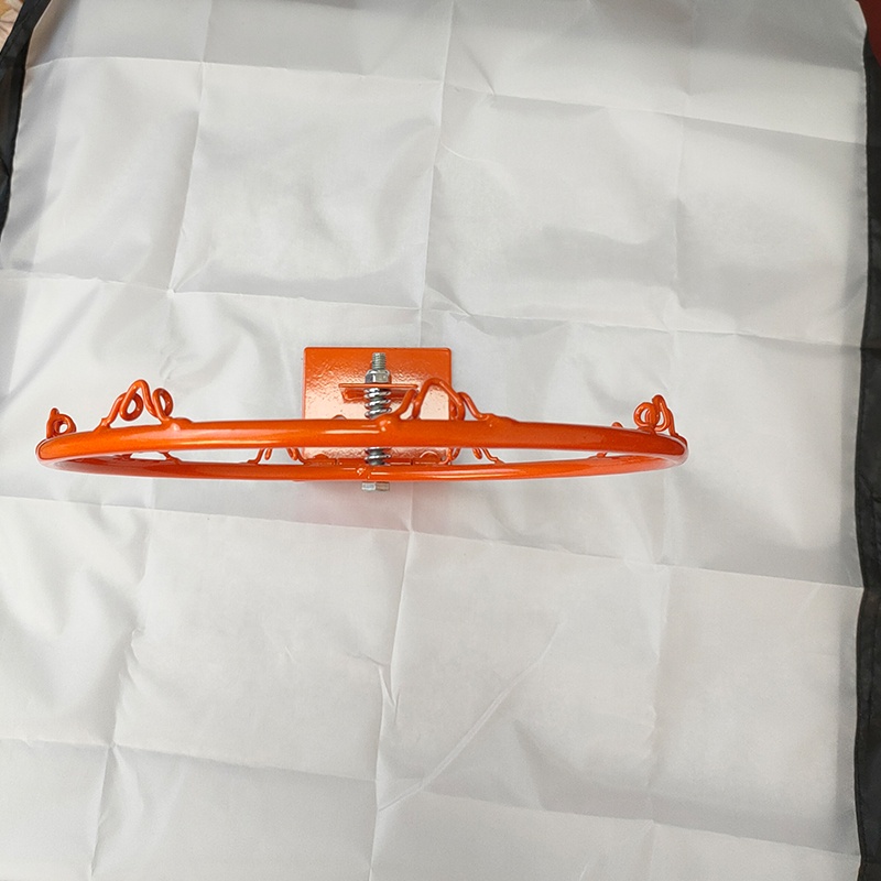 Outdoor 8 Inch Kids Basketball - Kids Outdoor Basketball Hoop recensione e prezzo